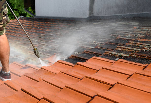 Best Pressure Washing Driveway  in Ewa Beach, HI